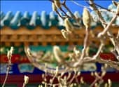【城市水療設(shè)計(jì)】北京南宮溫泉養(yǎng)生園設(shè)計(jì)